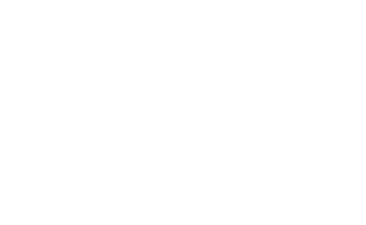 Logo nai